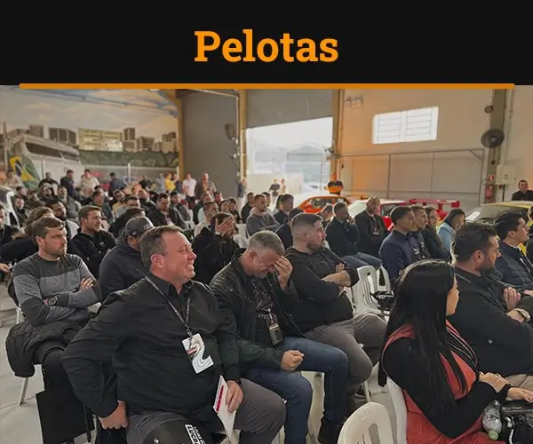 Pelotas01